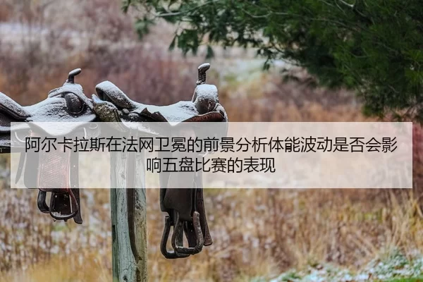 a-er-ka-la-si-zai-fa-wang-wei-mian-de-qian-jing-fen-xi-ti-neng-bo-dong-shi-fou-hui-ying-xiang-wu-pan-bi-sai-de-biao-xian-2-419.jpg