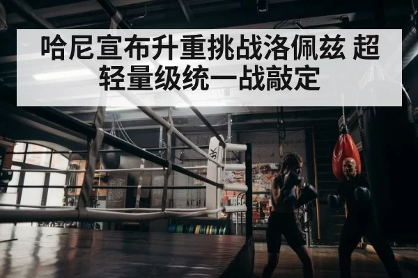 boxer training